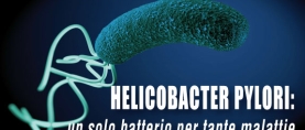 Helicobacter pylori: un solo batterio per tante malattie