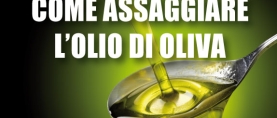 Come si assaggia l’Olio d’Oliva