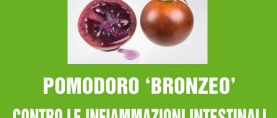 Pomodoro ‘bronzeo’ contro le infiammazioni intestinali