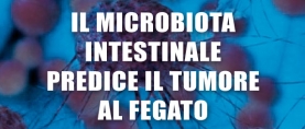 Il microbiota intestinale predice il tumore al fegato