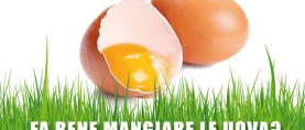 Fa bene mangiare le uova?