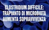 Clostridium Difficile: trapianto di microbiota aumenta la sopravvivenza