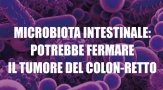 Microbiota intestinale: potrebbe fermare il tumore del colon-retto