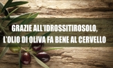 Grazie all’idrossitirosolo, l’olio di oliva fa bene al cervello