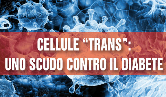 Diabete di tipo 2 : protezione dalle Cellule “Trans”