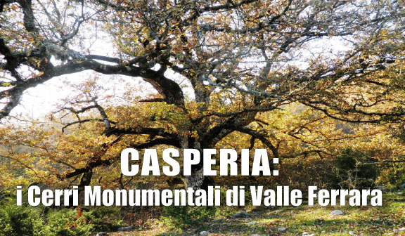 Casperia: i Cerri monumentali di Valle Ferrara