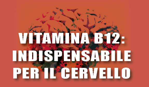 Vitamina B12: indispensabile per il cervello