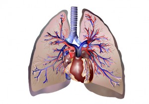malattie respiratorie aereo polmoni polmonite