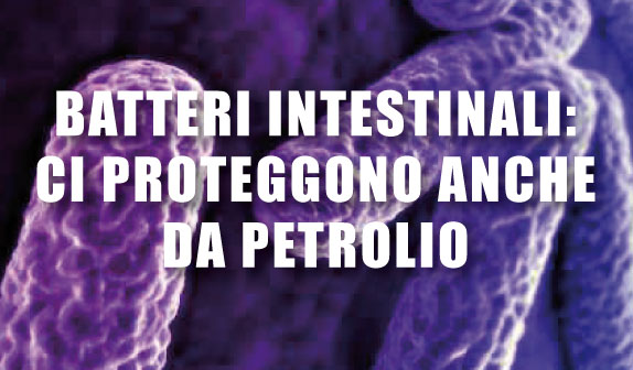Batteri intestinali: ci proteggono anche dal petrolio