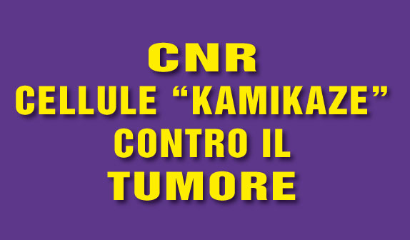 CNR: cellule ‘kamikaze’ contro il tumore