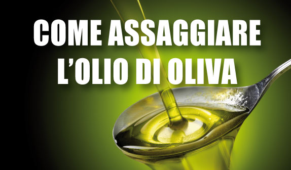 come assaggiare l'olio d'oliva