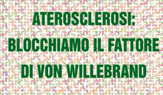 Prevenire l’aterosclerosi facendo tacere il “fattore di von Willebrand”
