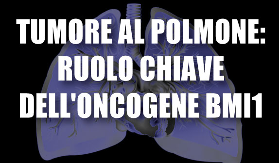 Tumore al polmone: ruolo chiave dell’oncogene Bmi1