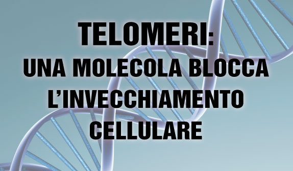 Telomeri: una molecola blocca l’invecchiamento cellulare