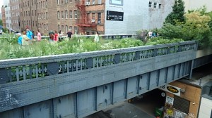 New York High Line Park West side Manhattan